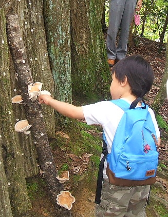 http://www.kyokenro.or.jp/news/DSCF3123.JPG