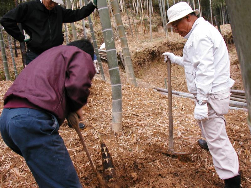 http://www.kyokenro.or.jp/news/P1010019.jpg